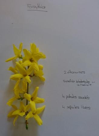 Annexe DSC_5966_A.jpg