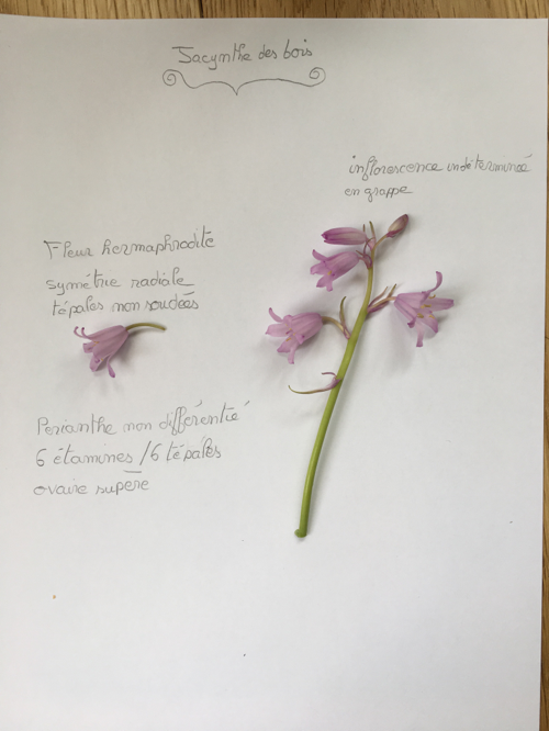 Annexe 19E8074E-3CCE-4C23-BF41-DF50BBCF6CF8.png