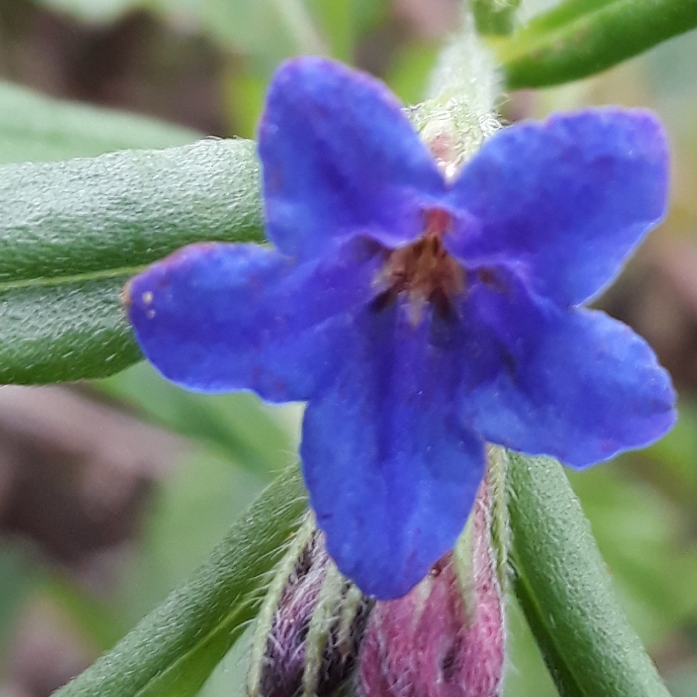 Annexe 20180415_192516.jpg