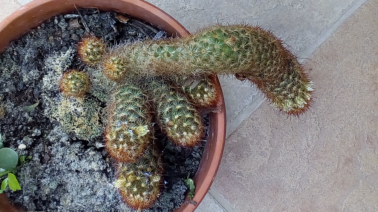 Annexe IMG_20180419_193535.jpg