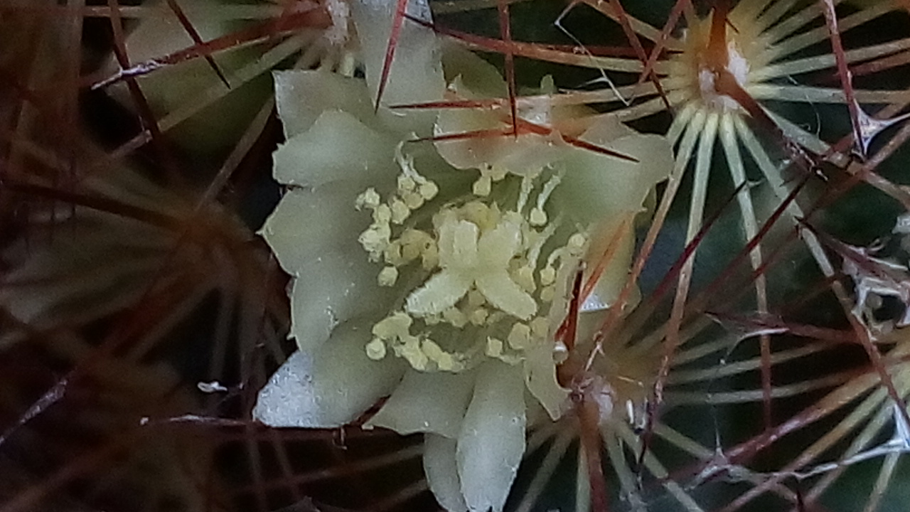 Annexe IMG_20180419_193711.jpg