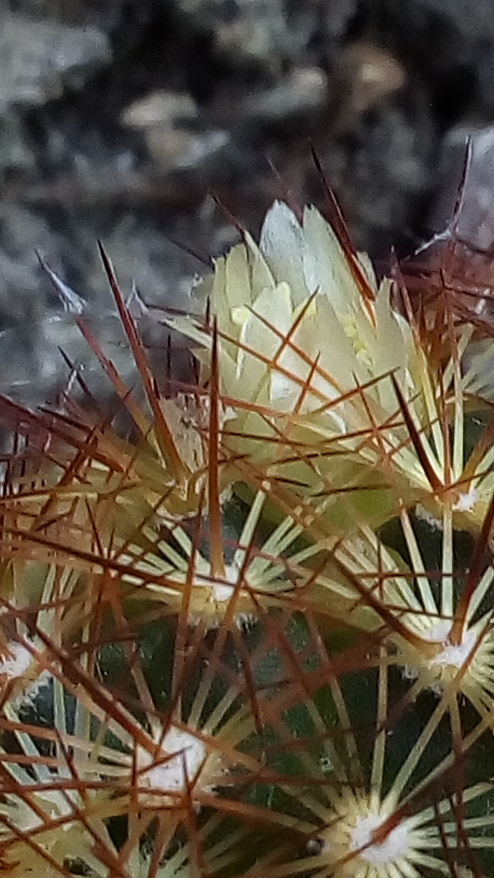 Annexe IMG_20180419_193906.jpg