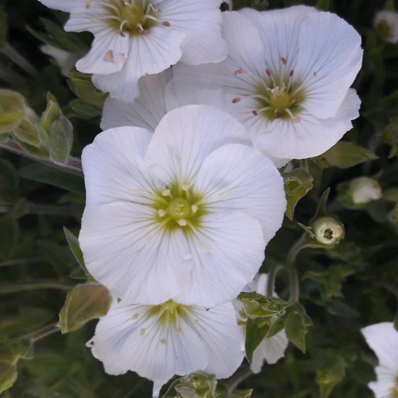 Annexe rps20180424_213939.jpg