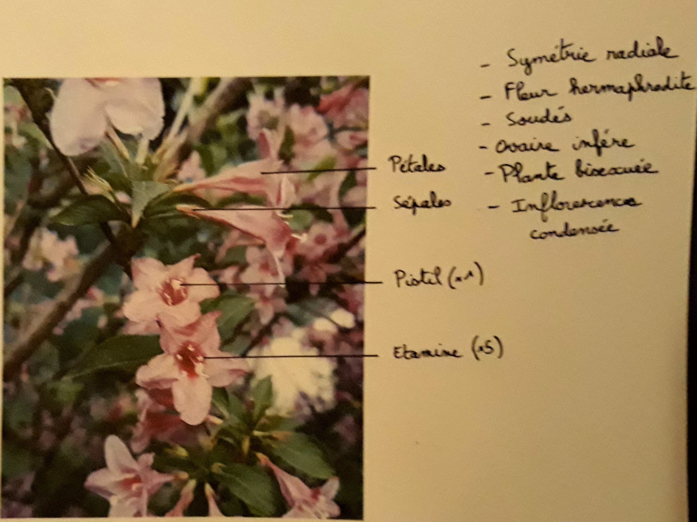 Annexe 20180502_005348-min (1).jpg