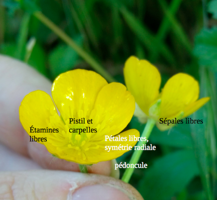 Annexe Capture d’écran 2018-05-12 à 20.50.36.png