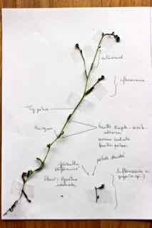 Annexe IMG_9752 (1).jpg