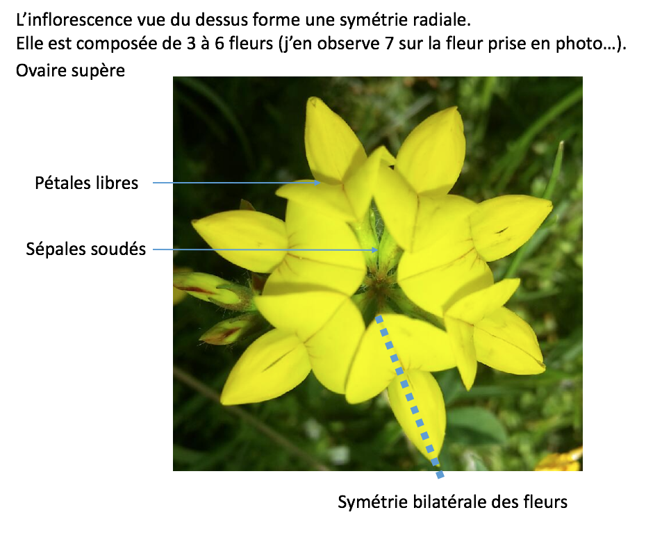 Annexe Capture d’écran 2018-05-20 à 19.52.32.png