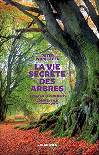 Annexe arbres.jpg