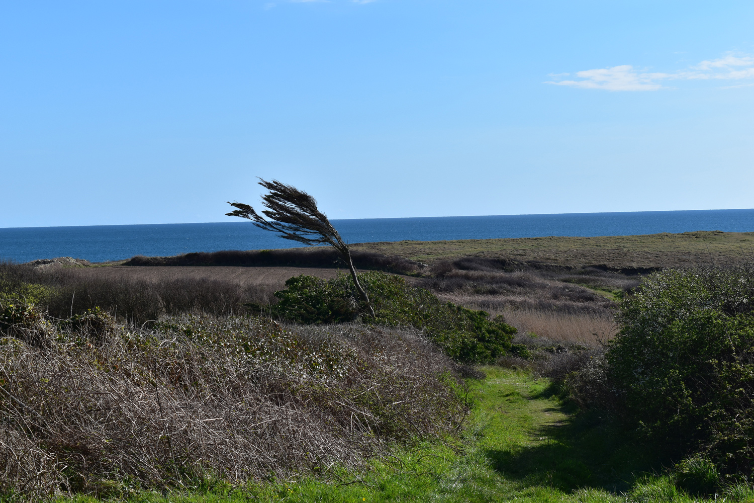 Annexe le-vent-de-bretagne.jpg