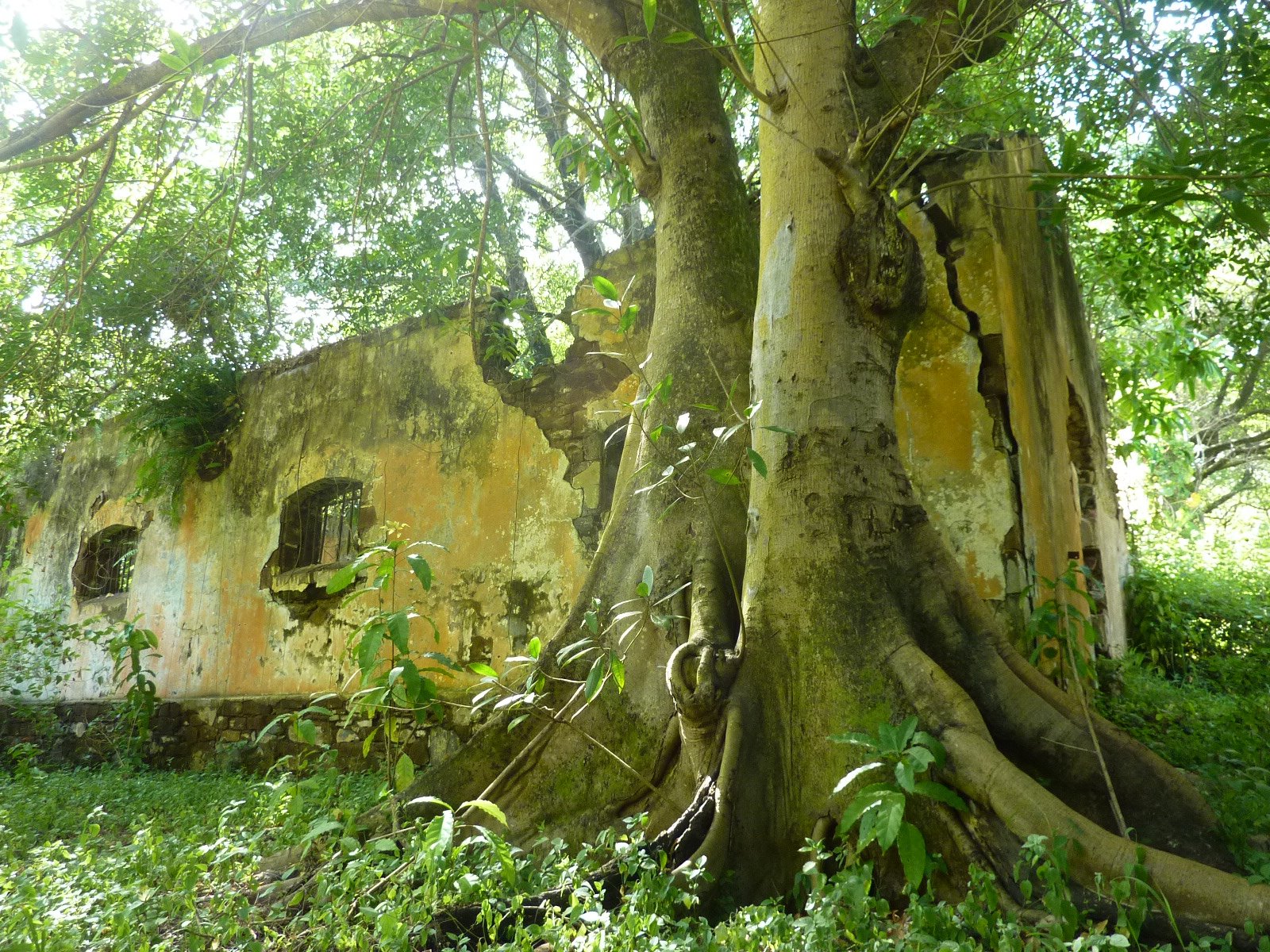 Annexe 326594_10150367142263665_3756954_o.jpg