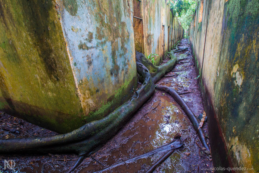 Annexe IleSalutGuyane.jpg