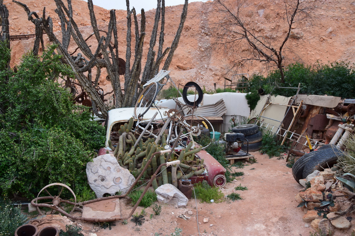 Annexe CooberPedy_cactées.jpg