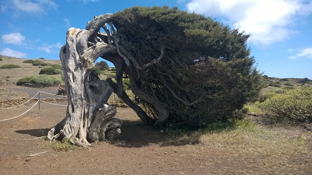 Annexe WP_20160511_17_37_05_Smart.jpg