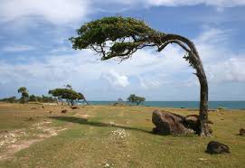 Annexe Pointe allègre.jpg