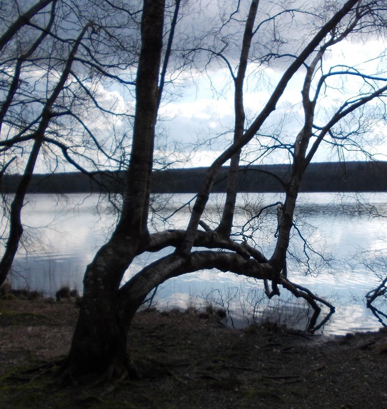 Annexe DSCN0012_757x800.jpg