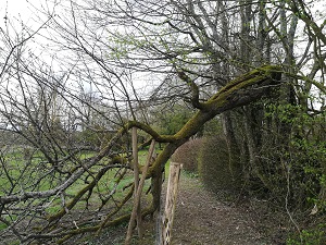 Annexe IMG_20180410_190120.jpg