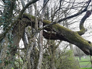 Annexe IMG_20180410_190230.jpg