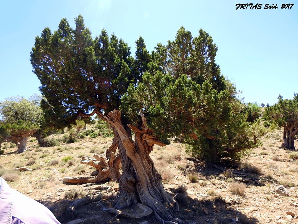 Annexe 18528091_10212523016812345_2201303785651304953_n.jpg