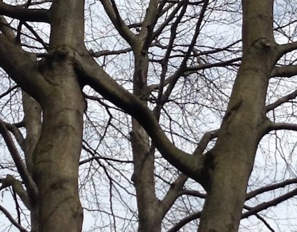 Annexe IMG_0832 2.jpg