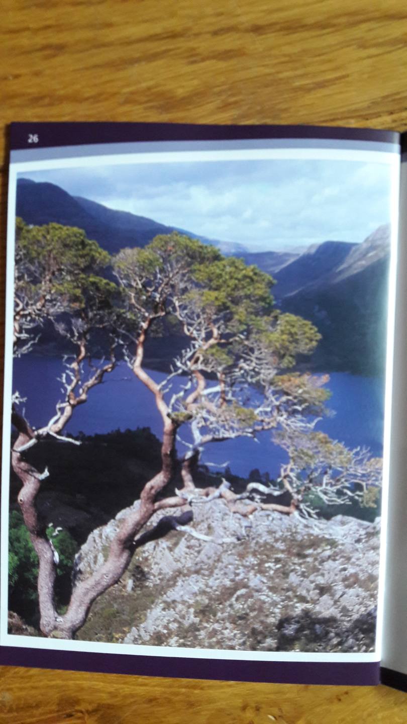 Annexe 20180411_083528_resized.jpg