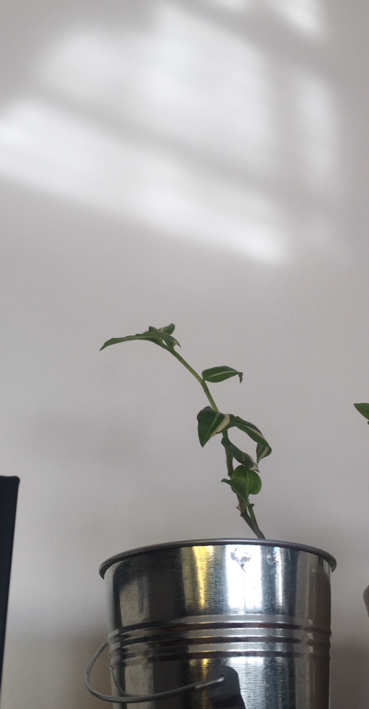 Annexe IMG_5763 (1).jpg