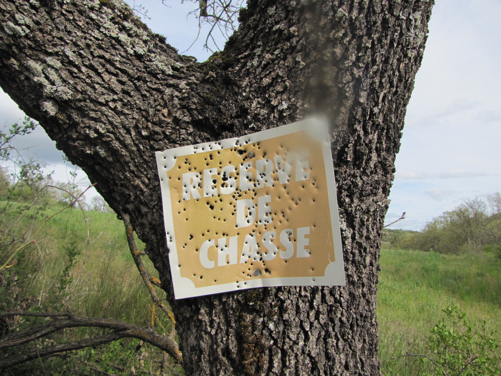 Annexe Mourres 23 avril 2016 004.jpg