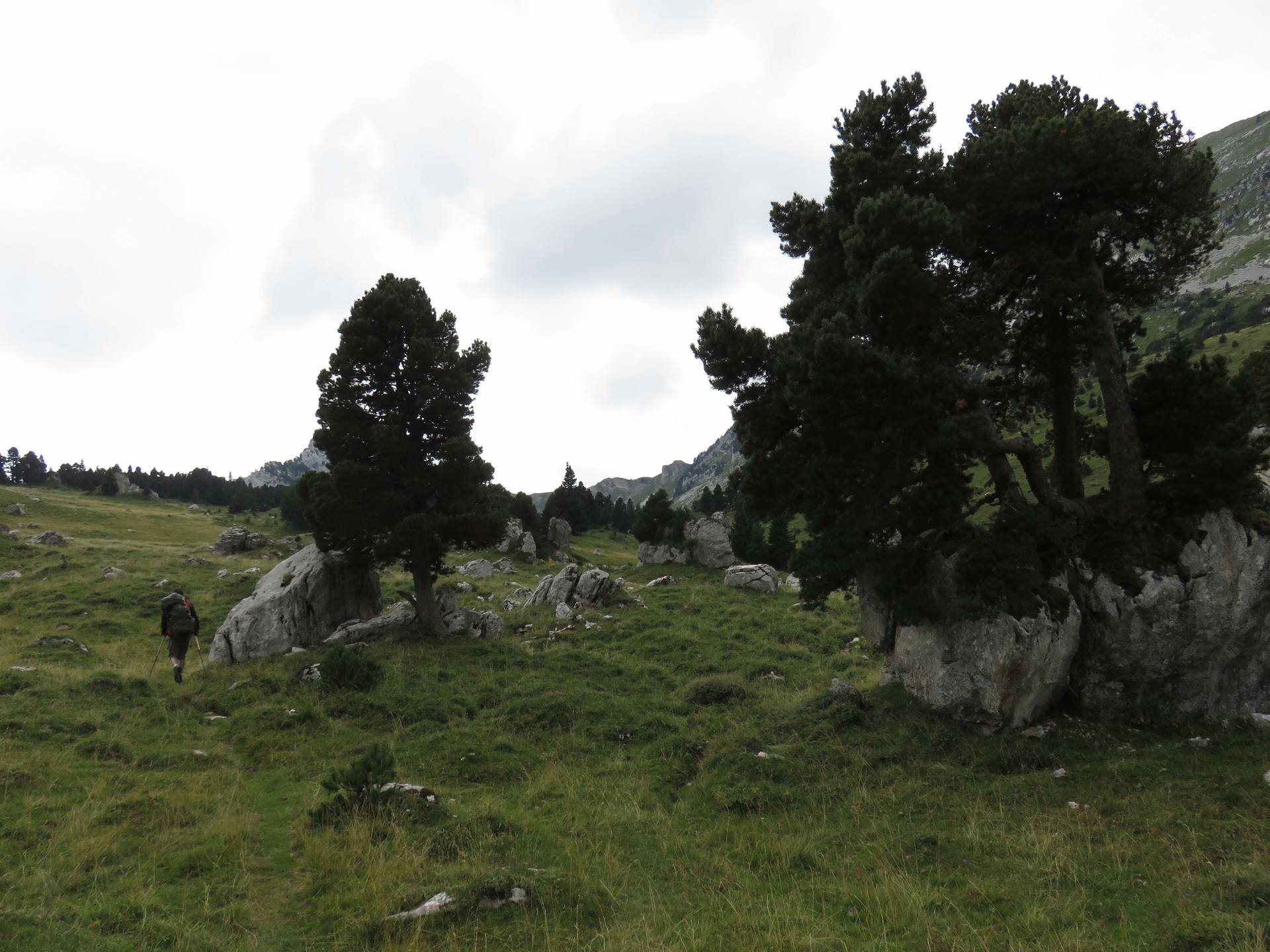 Annexe pin sur caillou.jpg