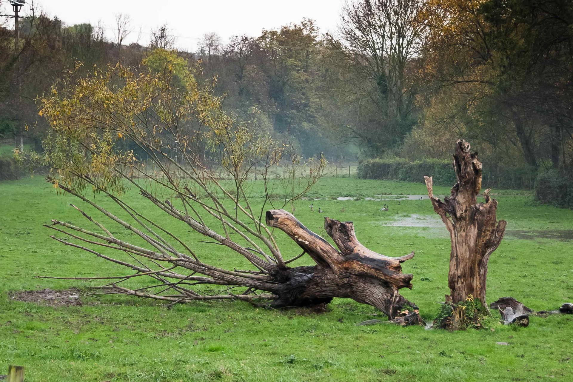 Annexe 18112014-DSC_0548red .jpg