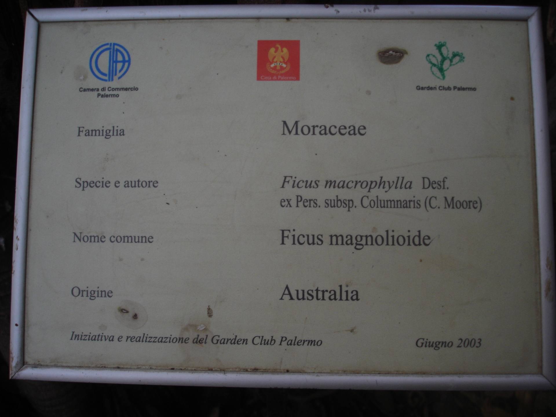 Annexe fiche duficus.jpg