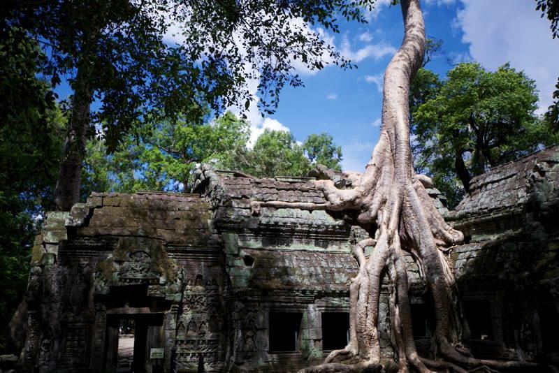 Annexe insolite 1.jpg