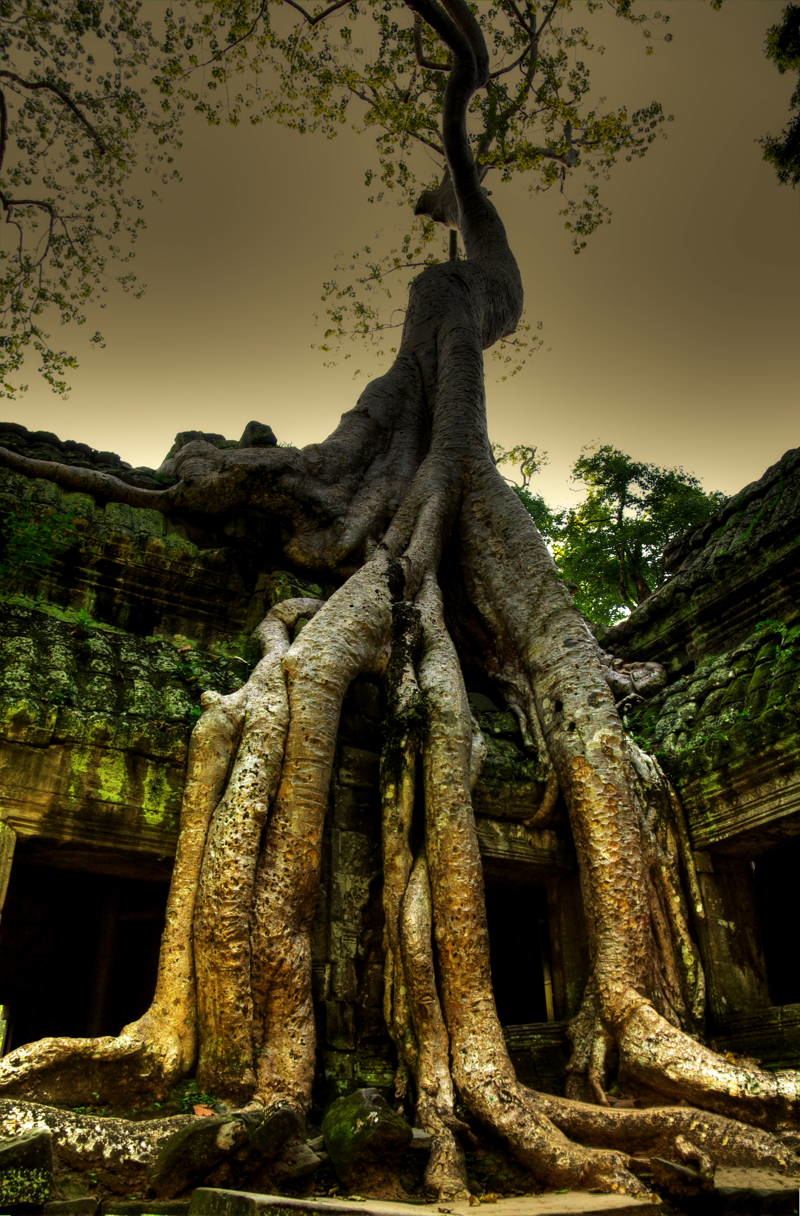 Annexe insolite-2.jpg