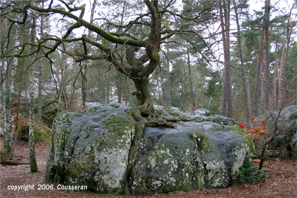 Annexe fontainebleau.jpg