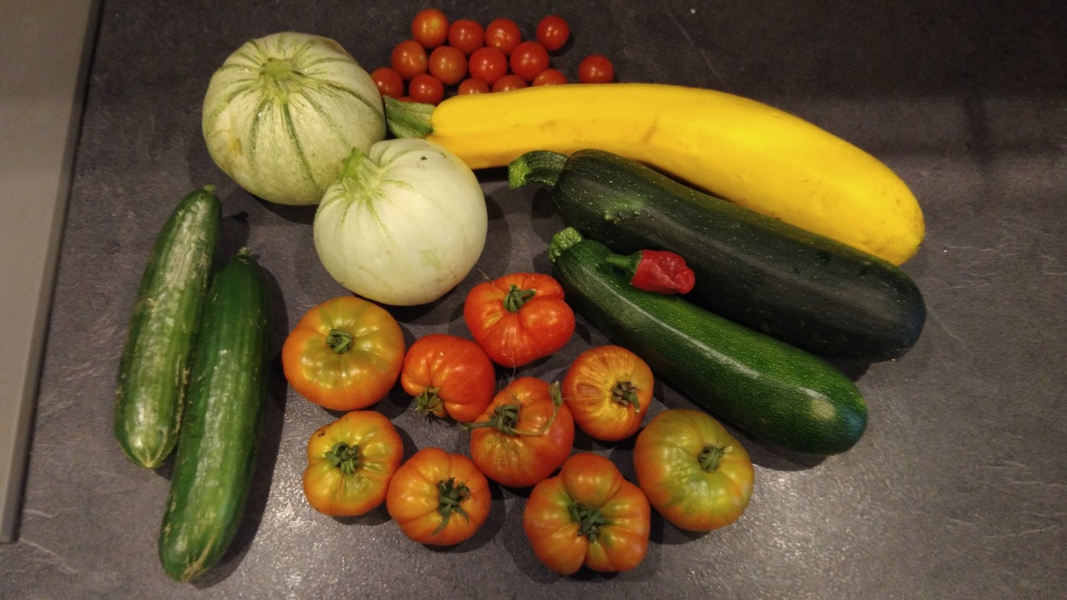 Annexe P_20170708_100605.jpg