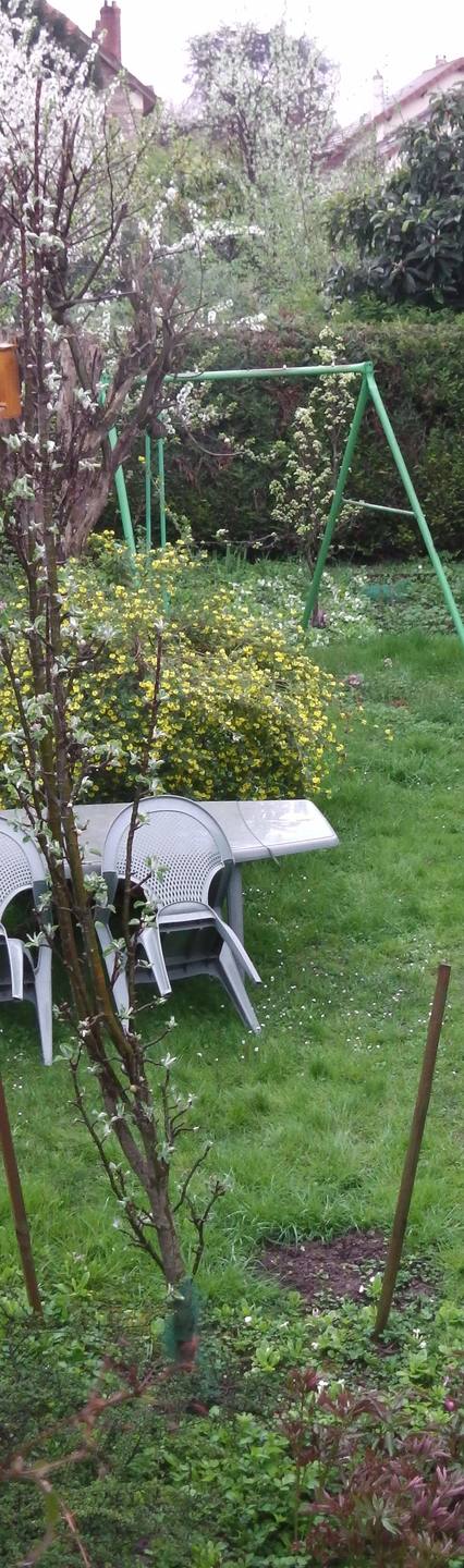 Annexe Bizarre 1 compressé.jpg