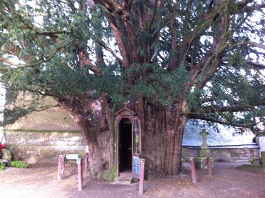 Annexe If de la Hauye.jpg