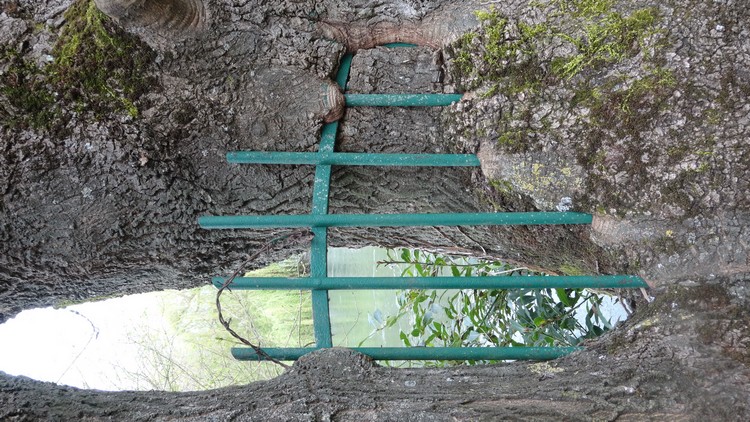 Annexe DSC02311 b.jpg