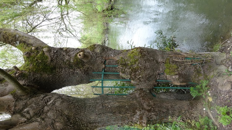 Annexe DSC02312 c.jpg