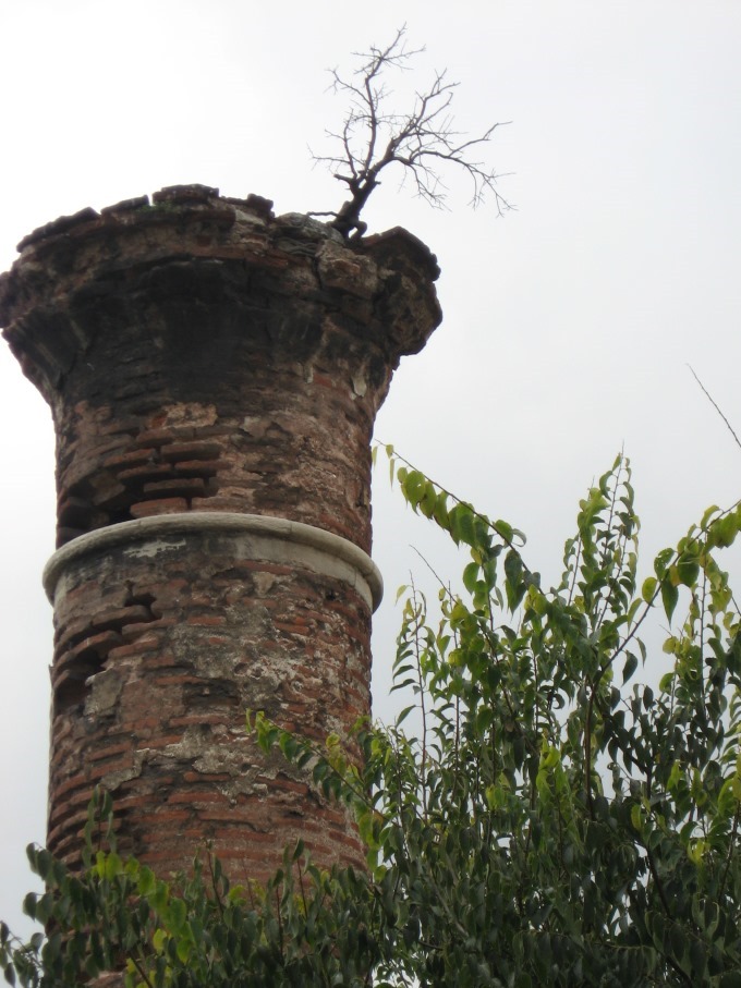 Annexe Jarrive ! .jpg