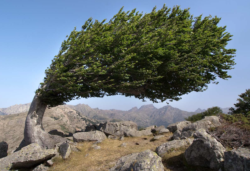 Annexe Capture d’écran 2018-04-15 à 09.35.15.png