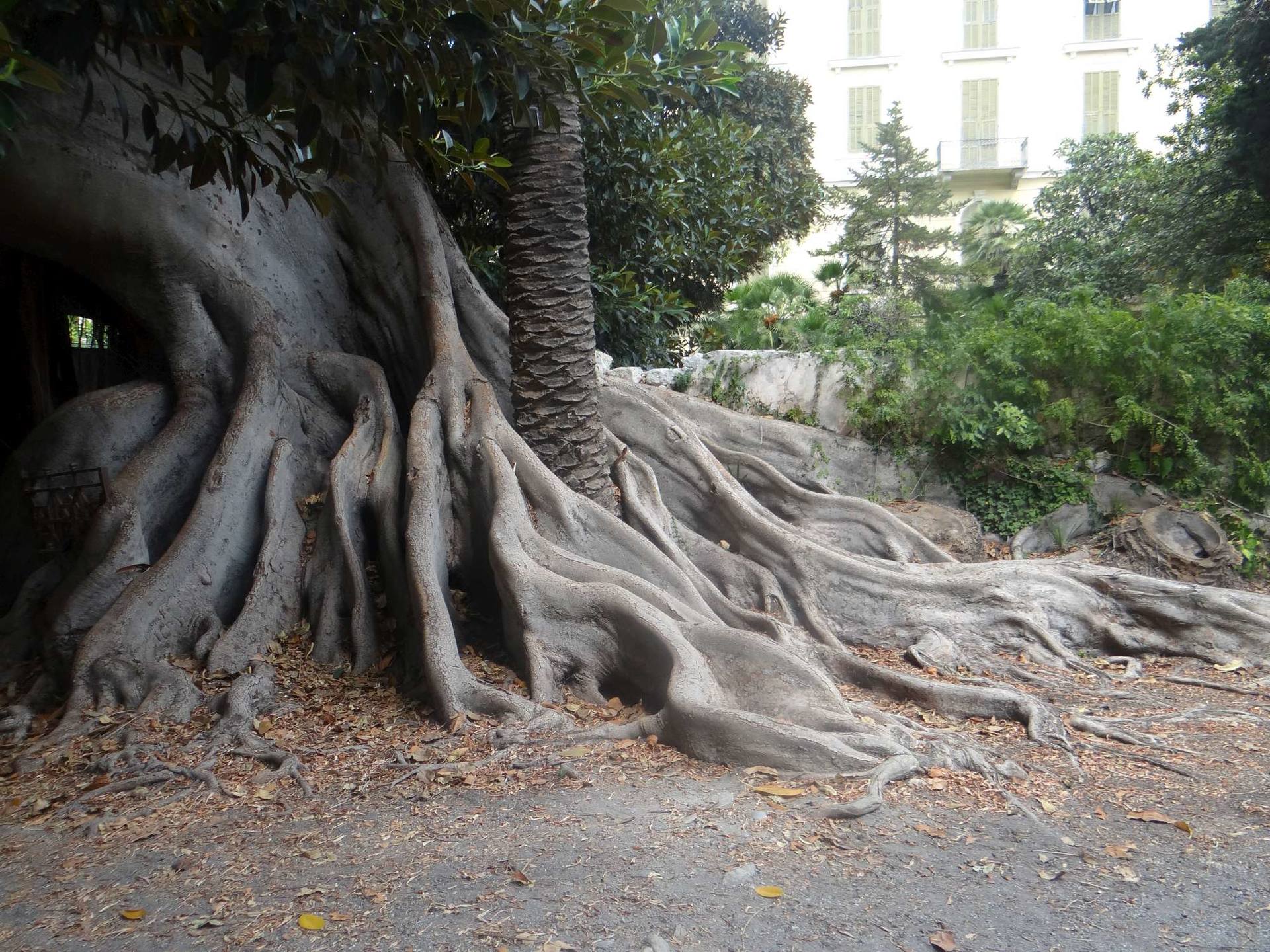 Annexe DSC06408-2000.jpg