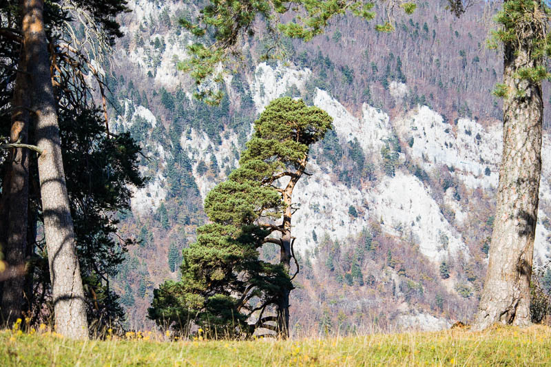 Annexe 26102017-043A9133.jpg