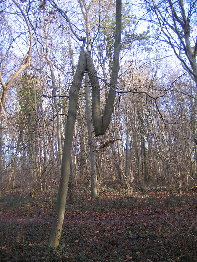 Annexe 008525_ori.JPG