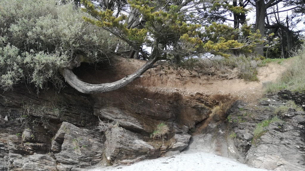 Annexe mooc bizarre.jpg