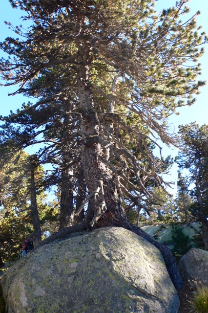 Annexe grand pin à crochet copie.jpg