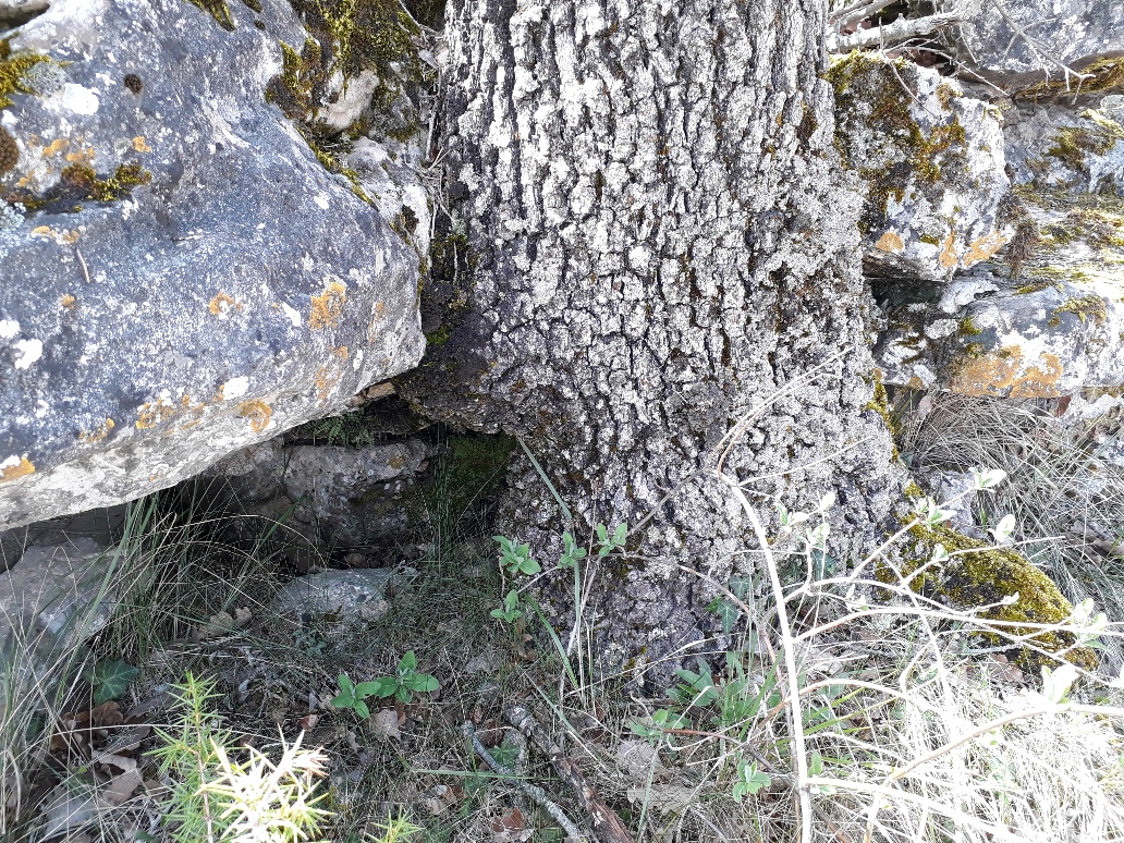 Annexe 20180415_115343_resized-1.jpg