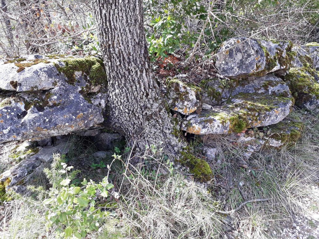 Annexe 20180415_115358_resized.jpg