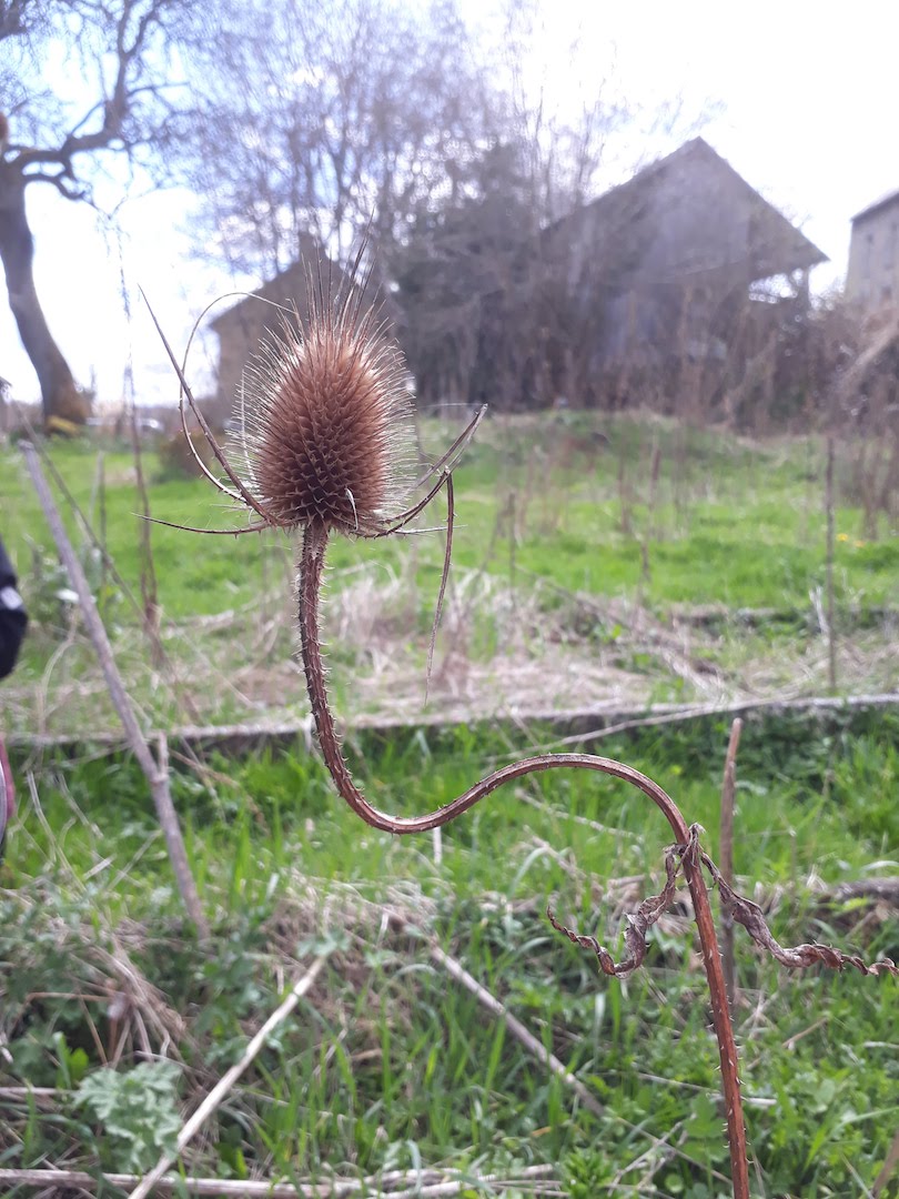 Annexe 20180412_160557.jpg