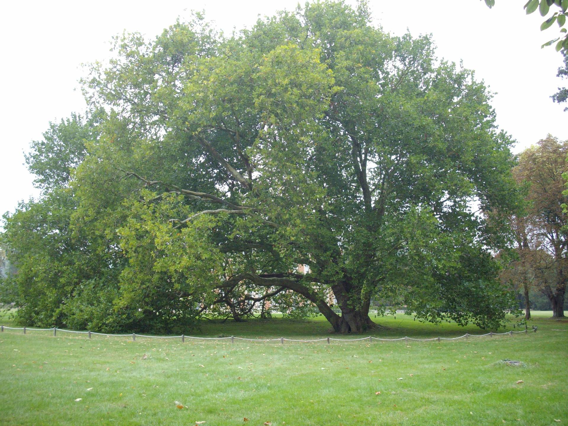 Annexe chamarande.jpg