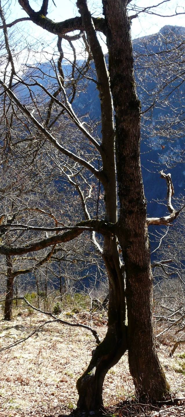 Annexe P1250134 (1).jpg