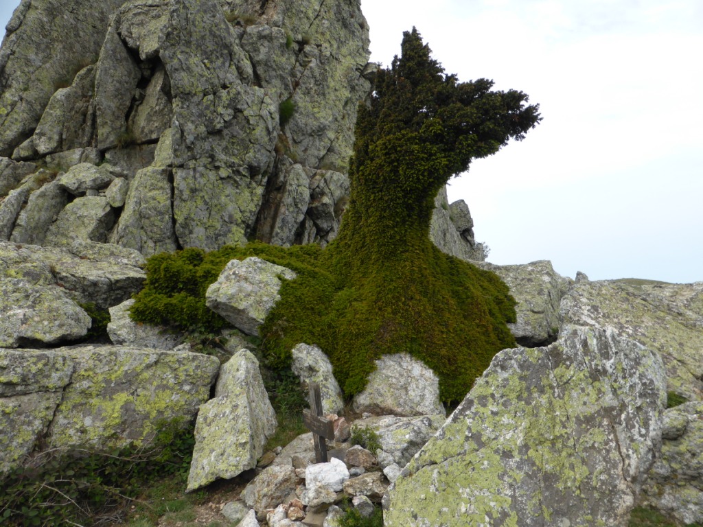 Annexe Sur le Puig Sailfort.JPG